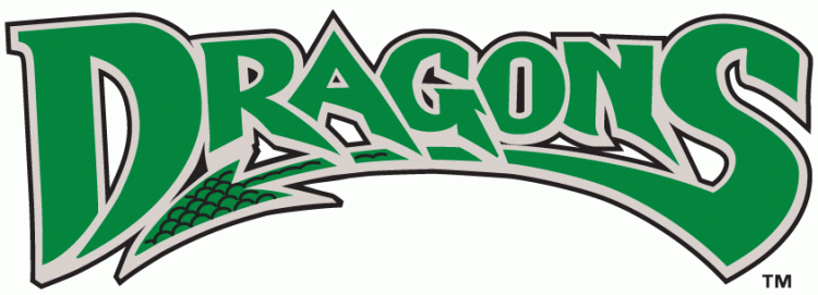 Dayton Dragons 2000-Pres Wordmark Logo iron on paper